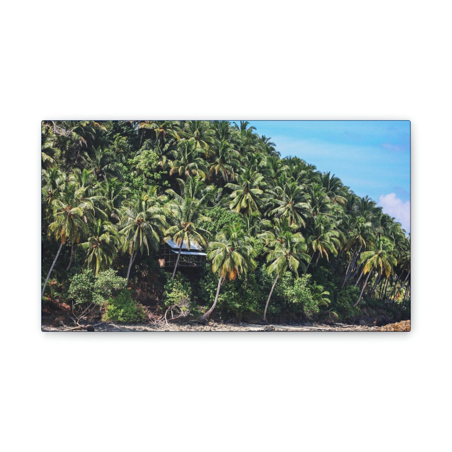 Best Beaches & Islands - Canvas Stretched, 0.75" in 6 sizes - Coconut Shoreline - Isolated Paradise - Mentawais Islands - Indonesia - US Print - Green Forest Home