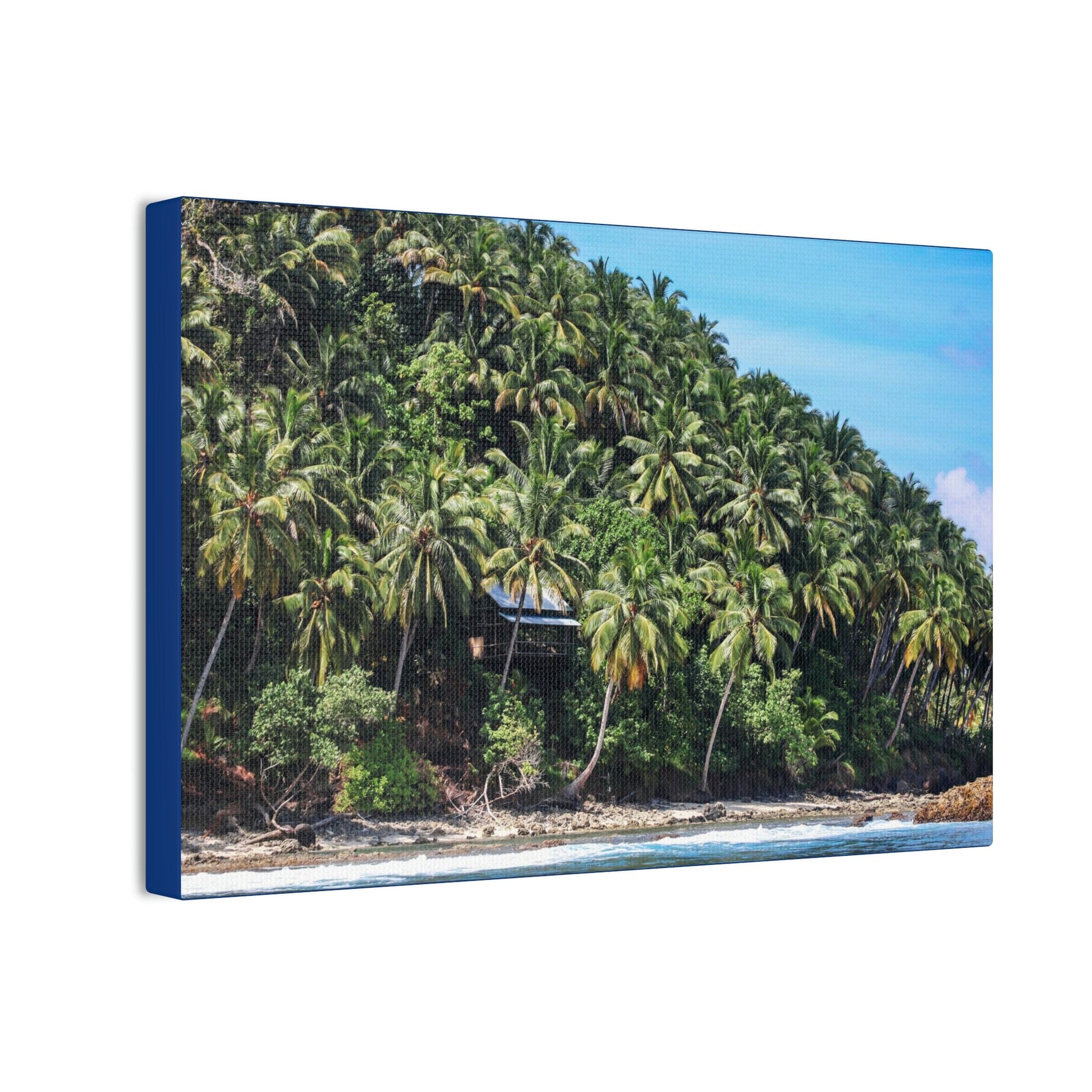 Best Beaches & Islands - Canvas Stretched, 0.75" in 6 sizes - Coconut Shoreline - Isolated Paradise - Mentawais Islands - Indonesia - US Print - Green Forest Home