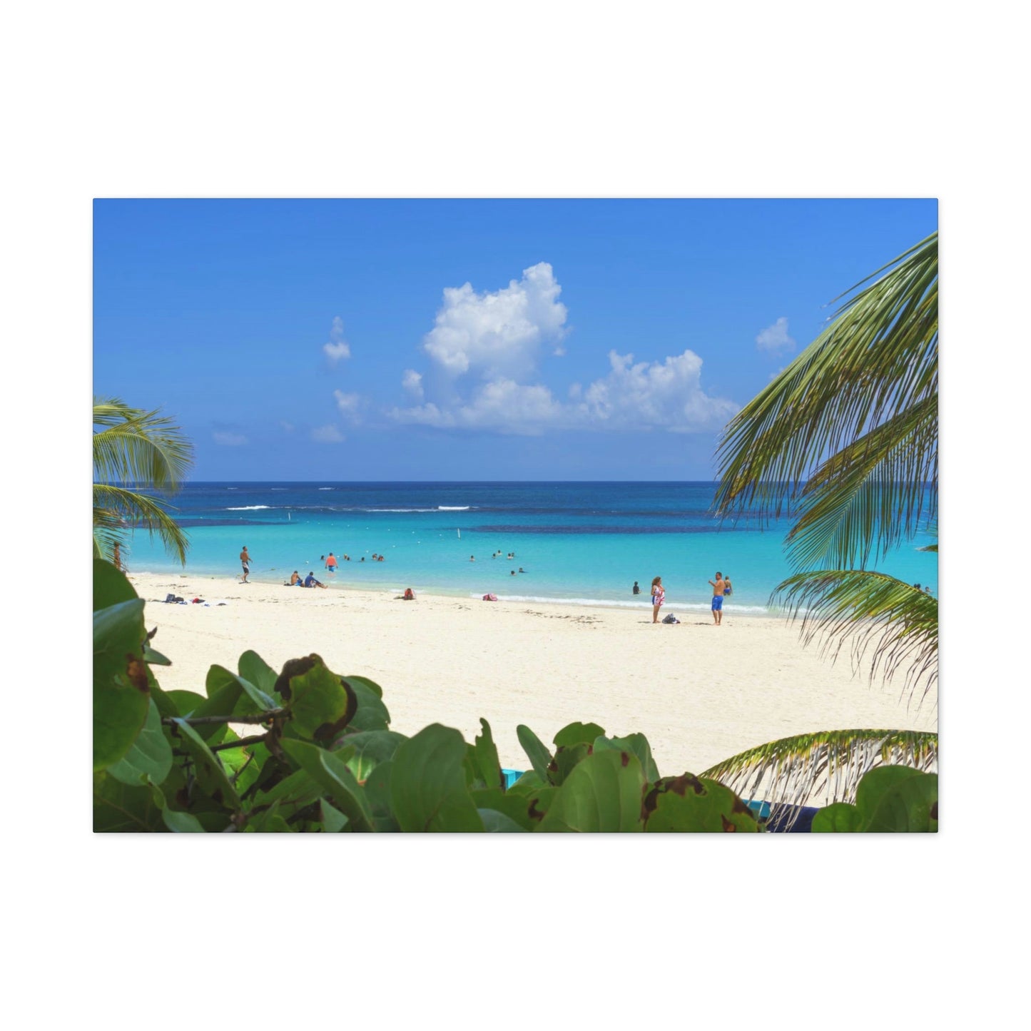 Best Beaches & Islands - Canvas Stretched, 0.75" in 6 sizes - Flamenco Beach on the Puerto Rican Island of Culebra - a top-rated beach in the world - US Print - Green Forest Home