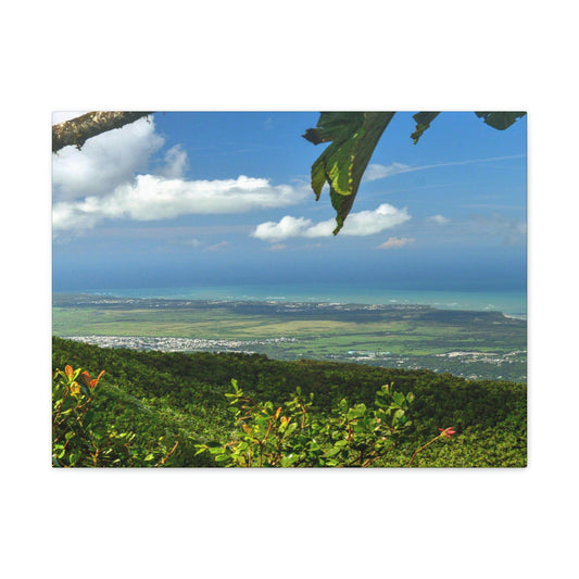 Breathtaking View at 3,175 feet altitude from Tres Picachos peak of the eastern Coastline - in El Yunque rainforest Puerto Rico - Historic image before Hurricane Maria decimated the forest canopy in 2017 - with 140 MPH winds for 12 hours! - Green Forest Home