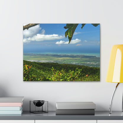 Breathtaking View at 3,175 feet altitude from Tres Picachos peak of the eastern Coastline - in El Yunque rainforest Puerto Rico - Historic image before Hurricane Maria decimated the forest canopy in 2017 - with 140 MPH winds for 12 hours! - Green Forest Home
