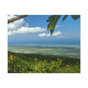 Breathtaking View at 3,175 feet altitude from Tres Picachos peak of the eastern Coastline - in El Yunque rainforest Puerto Rico - Historic image before Hurricane Maria decimated the forest canopy in 2017 - with 140 MPH winds for 12 hours! - Green Forest Home