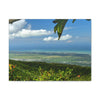 Breathtaking View at 3,175 feet altitude from Tres Picachos peak of the eastern Coastline - in El Yunque rainforest Puerto Rico - Historic image before Hurricane Maria decimated the forest canopy in 2017 - with 140 MPH winds for 12 hours! - Green Forest Home