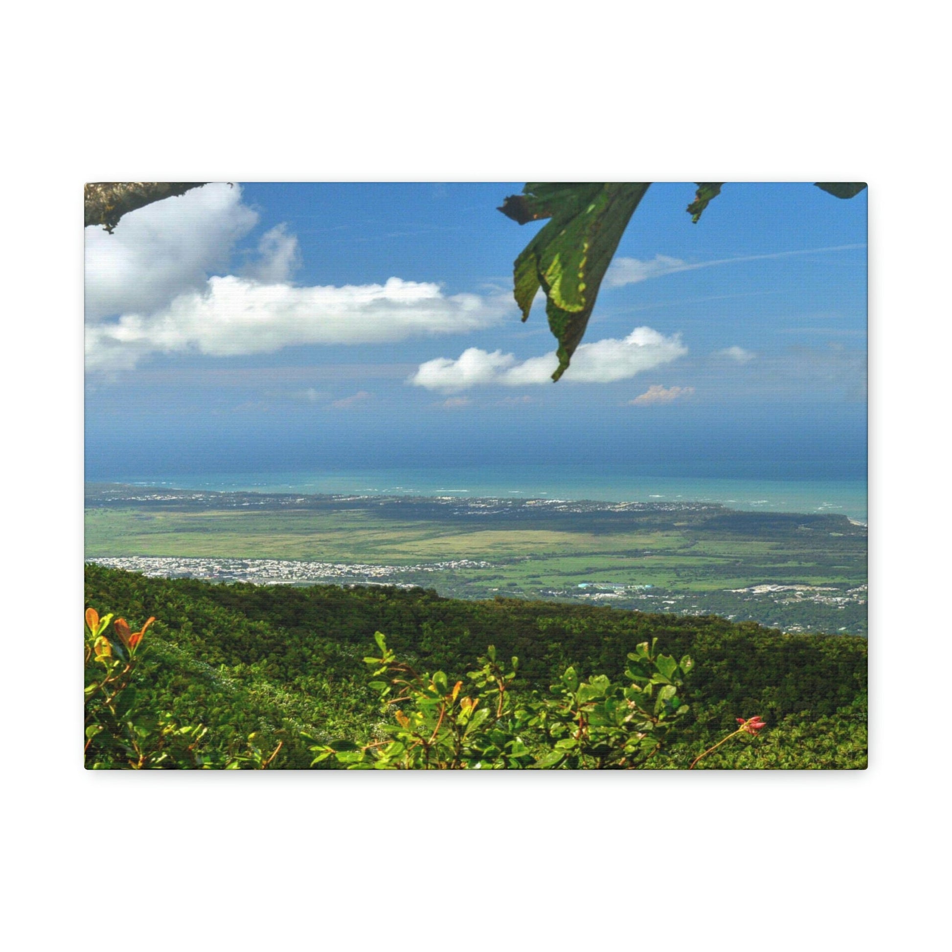 Breathtaking View at 3,175 feet altitude from Tres Picachos peak of the eastern Coastline - in El Yunque rainforest Puerto Rico - Historic image before Hurricane Maria decimated the forest canopy in 2017 - with 140 MPH winds for 12 hours! - Green Forest Home