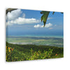 Breathtaking View at 3,175 feet altitude from Tres Picachos peak of the eastern Coastline - in El Yunque rainforest Puerto Rico - Historic image before Hurricane Maria decimated the forest canopy in 2017 - with 140 MPH winds for 12 hours! - Green Forest Home