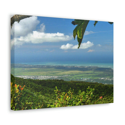 Breathtaking View at 3,175 feet altitude from Tres Picachos peak of the eastern Coastline - in El Yunque rainforest Puerto Rico - Historic image before Hurricane Maria decimated the forest canopy in 2017 - with 140 MPH winds for 12 hours! - Green Forest Home