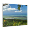 Breathtaking View at 3,175 feet altitude from Tres Picachos peak of the eastern Coastline - in El Yunque rainforest Puerto Rico - Historic image before Hurricane Maria decimated the forest canopy in 2017 - with 140 MPH winds for 12 hours! - Green Forest Home