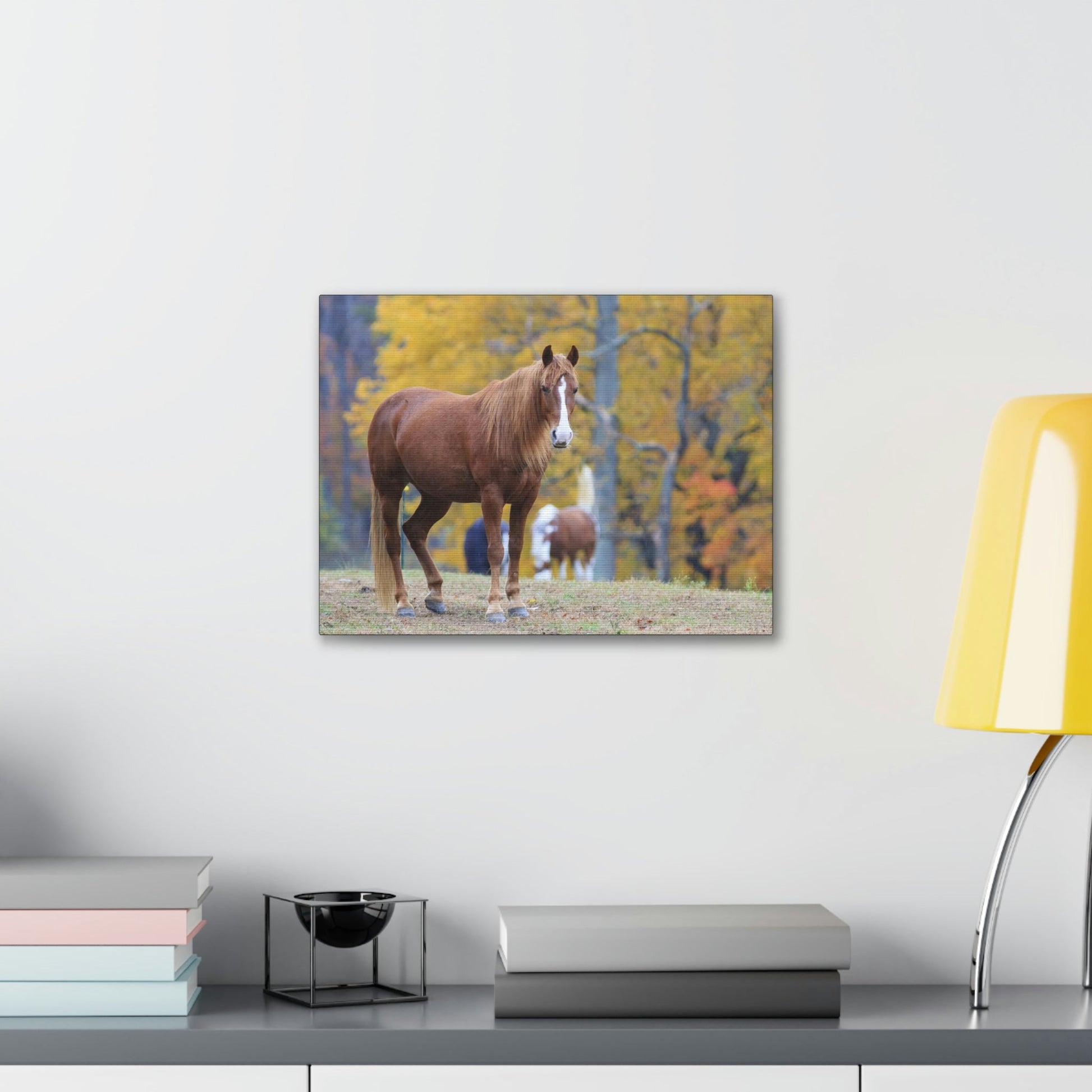 Canvas Gallery Wraps - A beautiful horse wants a photo - in Smoky Mountain National Park in Summer in Mountain National Park (SMNP) USA - Green Forest Home