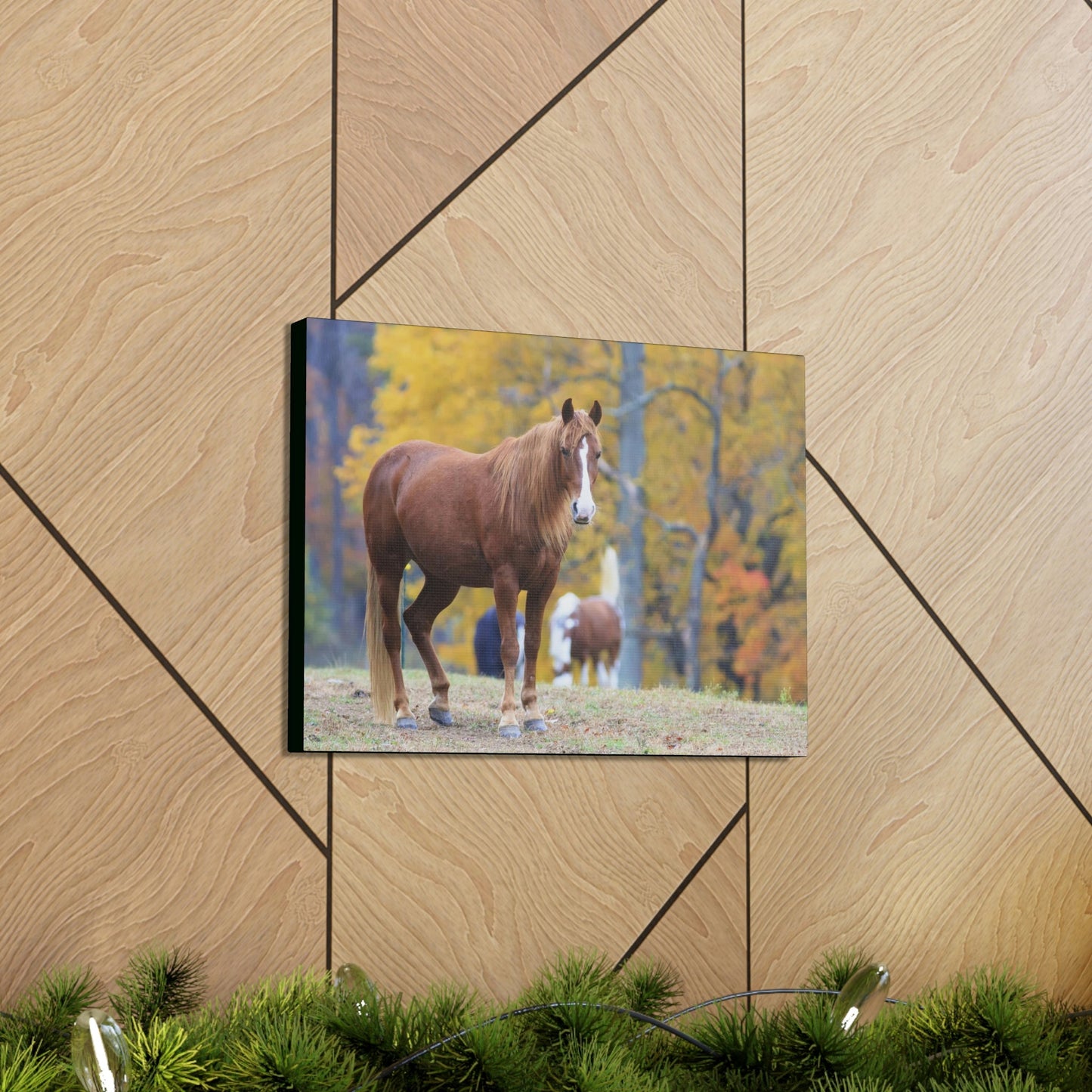 Canvas Gallery Wraps - A beautiful horse wants a photo - in Smoky Mountain National Park in Summer in Mountain National Park (SMNP) USA - Green Forest Home
