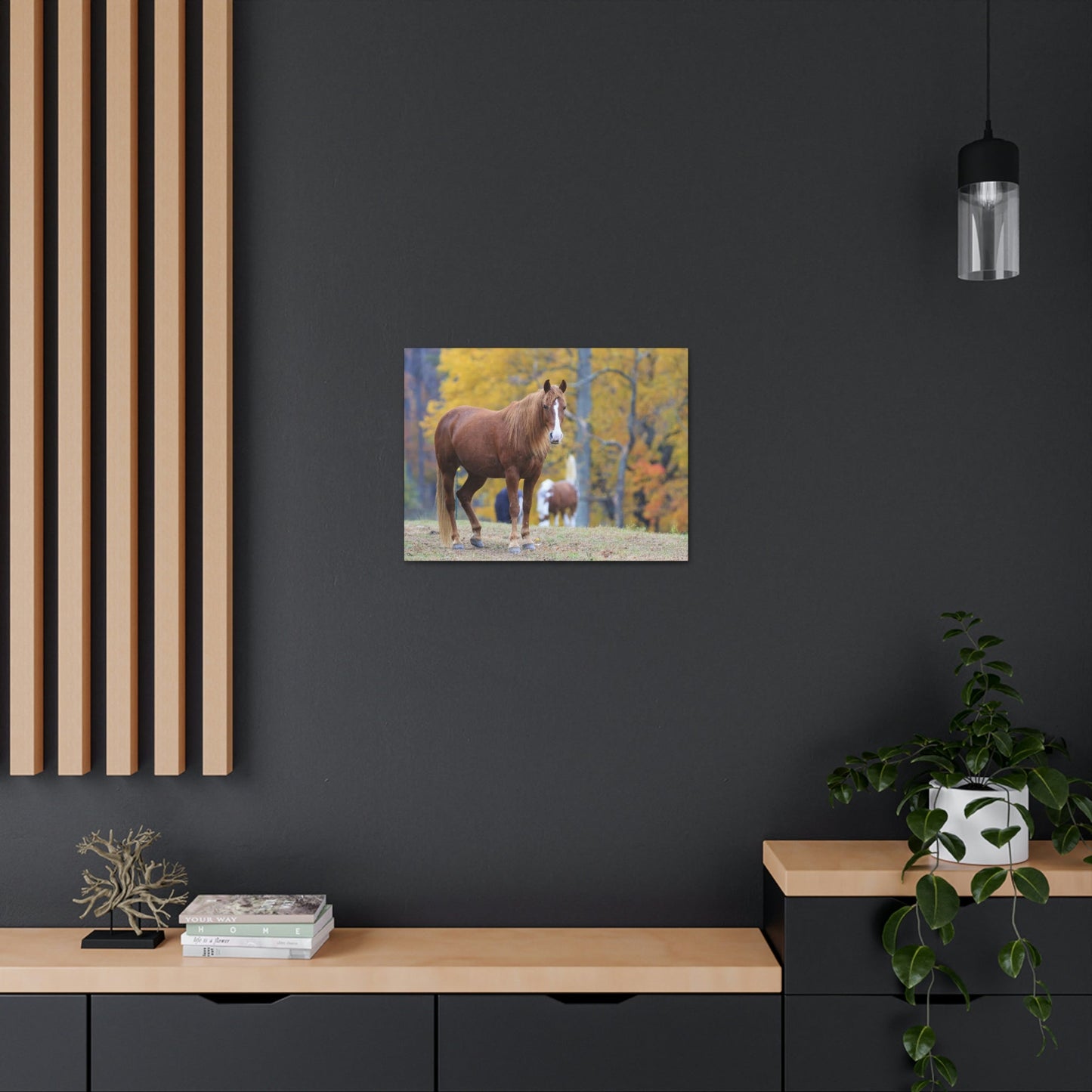 Canvas Gallery Wraps - A beautiful horse wants a photo - in Smoky Mountain National Park in Summer in Mountain National Park (SMNP) USA - Green Forest Home