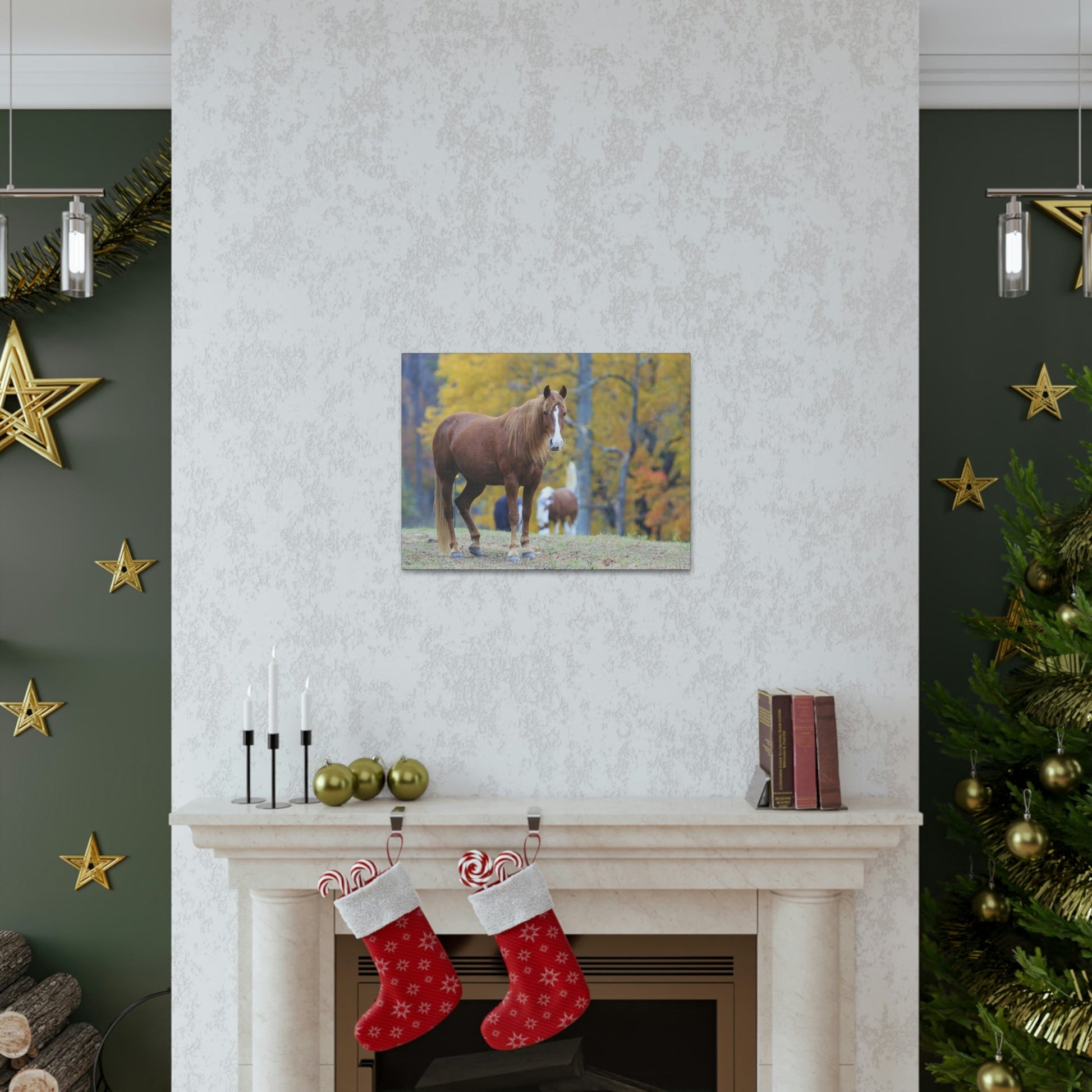 Canvas Gallery Wraps - A beautiful horse wants a photo - in Smoky Mountain National Park in Summer in Mountain National Park (SMNP) USA - Green Forest Home