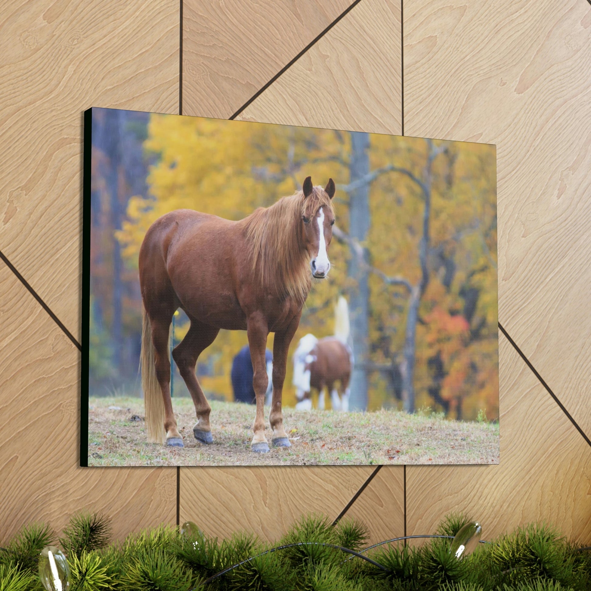 Canvas Gallery Wraps - A beautiful horse wants a photo - in Smoky Mountain National Park in Summer in Mountain National Park (SMNP) USA - Green Forest Home