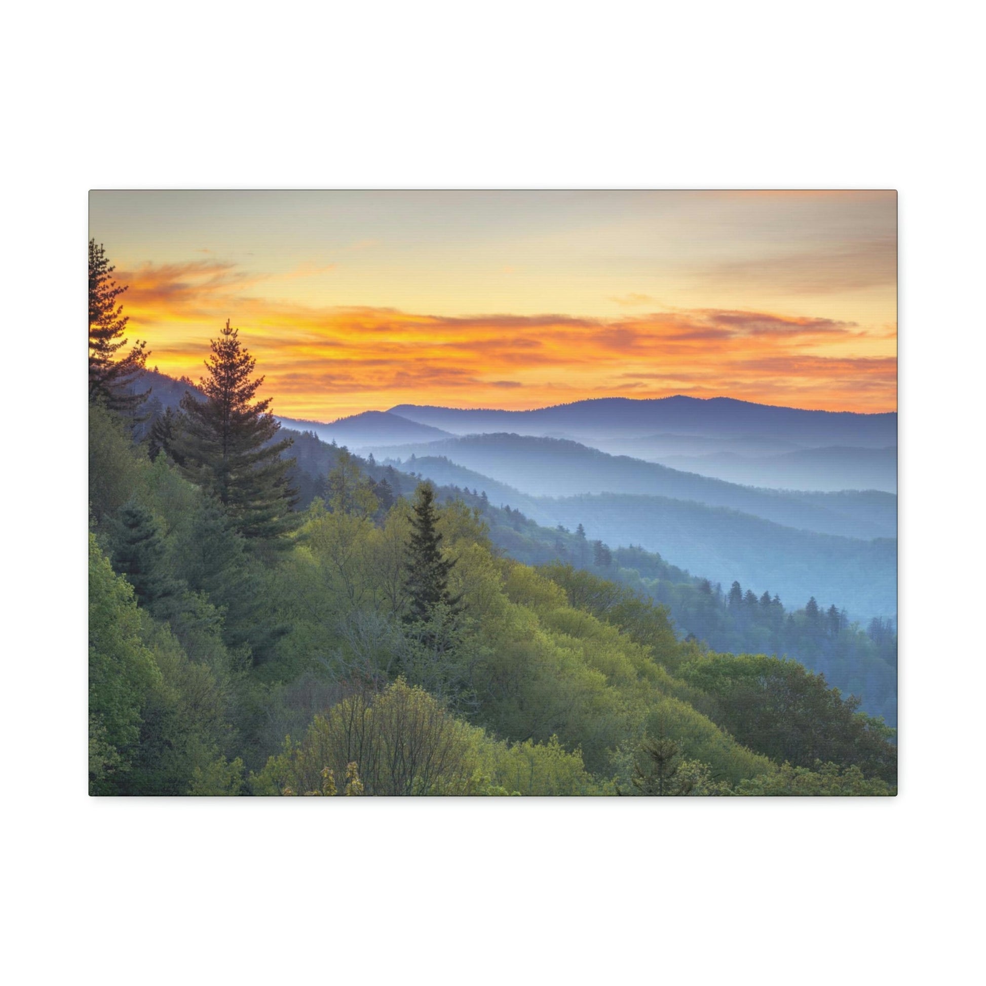 Canvas Gallery Wraps - A HEAVENLY VIEW - Scenic Sunrise Landscape at Oconaluftee Overlook - the top of the world here - in Smoky Mountain National Park in Summer in Mountain National Park (SMNP) USA - Green Forest Home