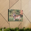 Canvas Gallery Wraps - A selfie for a Whitetail deer buck in Smoky Mountain National Park in Summer in Mountain National Park (SMNP) USA - Green Forest Home