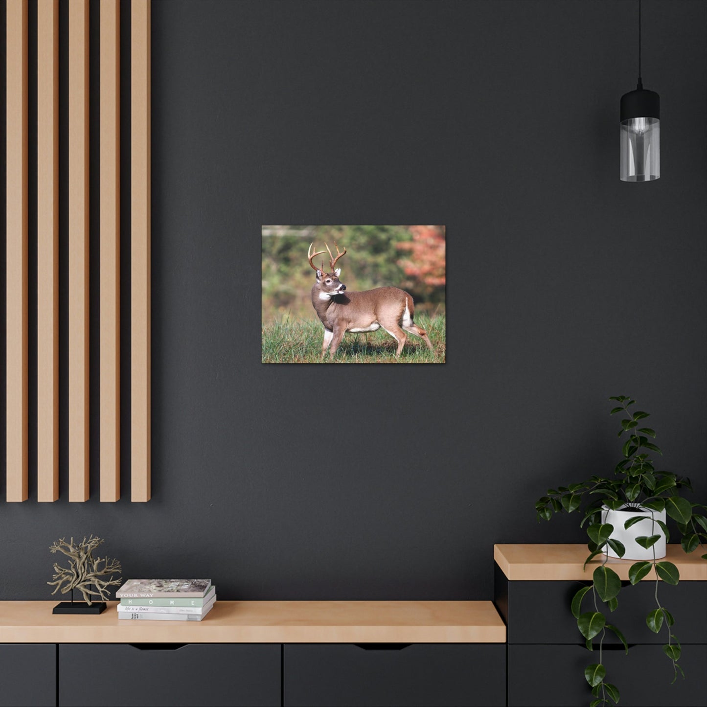 Canvas Gallery Wraps - A selfie for a Whitetail deer buck in Smoky Mountain National Park in Summer in Mountain National Park (SMNP) USA - Green Forest Home