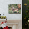 Canvas Gallery Wraps - A selfie for a Whitetail deer buck in Smoky Mountain National Park in Summer in Mountain National Park (SMNP) USA - Green Forest Home