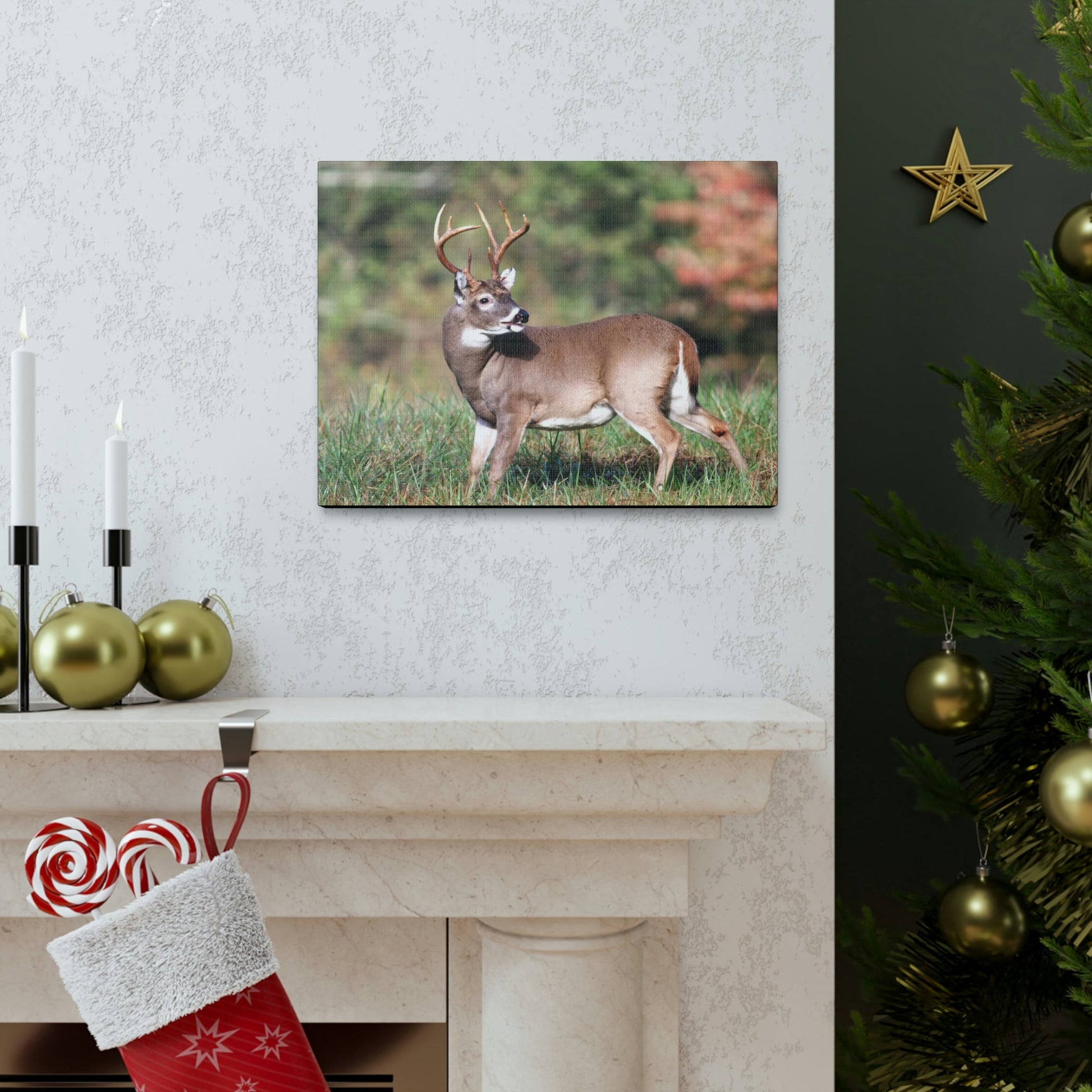 Canvas Gallery Wraps - A selfie for a Whitetail deer buck in Smoky Mountain National Park in Summer in Mountain National Park (SMNP) USA - Green Forest Home