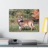 Canvas Gallery Wraps - A selfie for a Whitetail deer buck in Smoky Mountain National Park in Summer in Mountain National Park (SMNP) USA - Green Forest Home