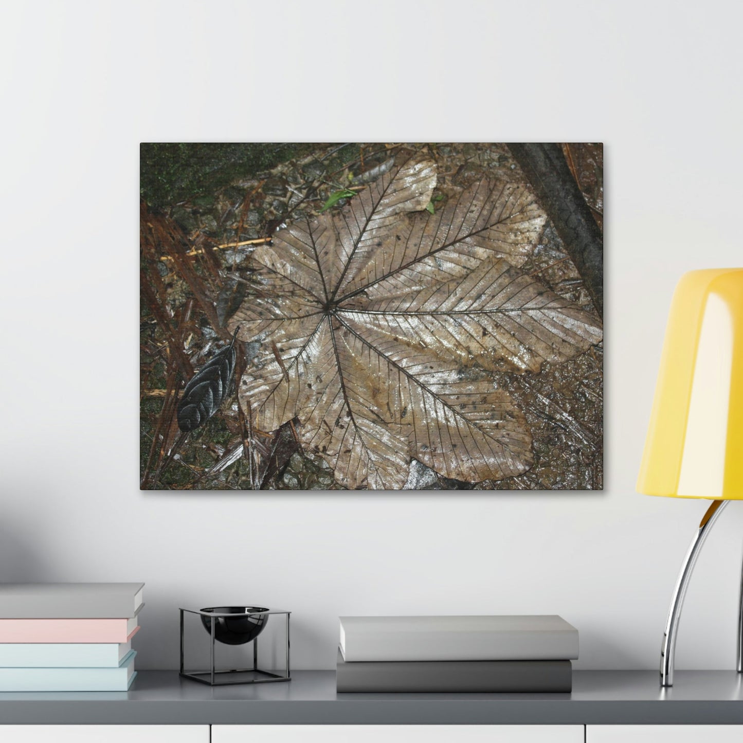 Canvas Gallery Wraps - A Yagrumo and other leaves decomposing in Tradewinds trail before Maria - 2013 - old pal region - Green Forest Home