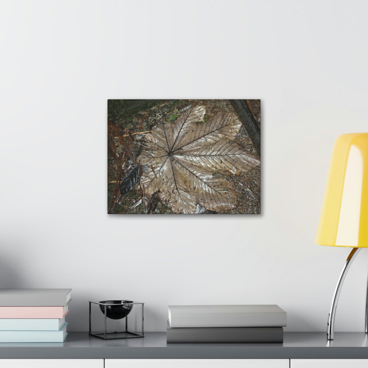 Canvas Gallery Wraps - A Yagrumo and other leaves decomposing in Tradewinds trail before Maria - 2013 - old pal region - Green Forest Home