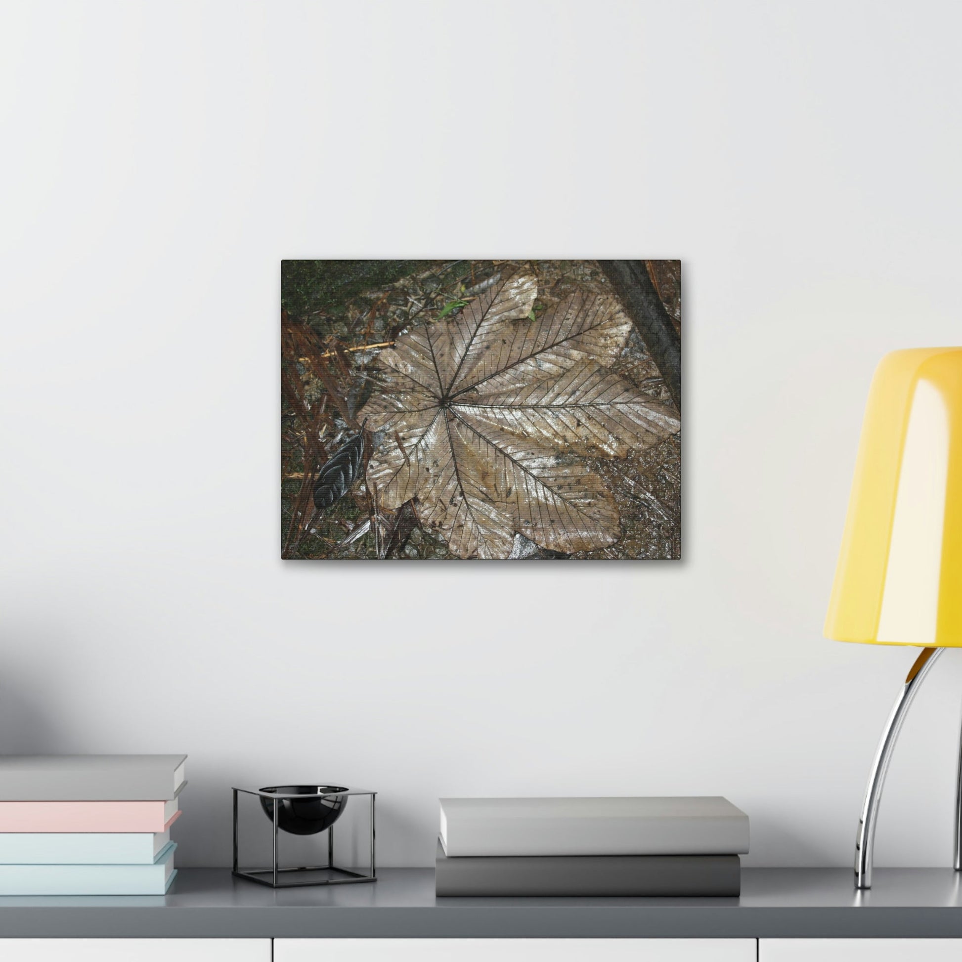 Canvas Gallery Wraps - A Yagrumo and other leaves decomposing in Tradewinds trail before Maria - 2013 - old pal region - Green Forest Home
