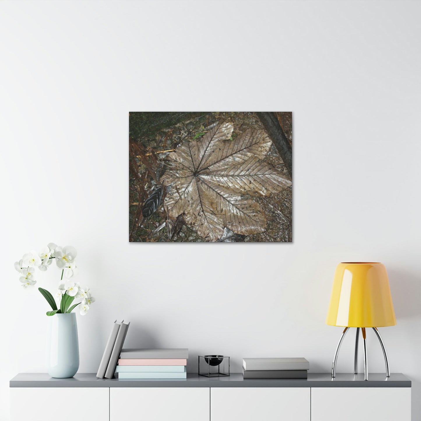 Canvas Gallery Wraps - A Yagrumo and other leaves decomposing in Tradewinds trail before Maria - 2013 - old pal region - Green Forest Home