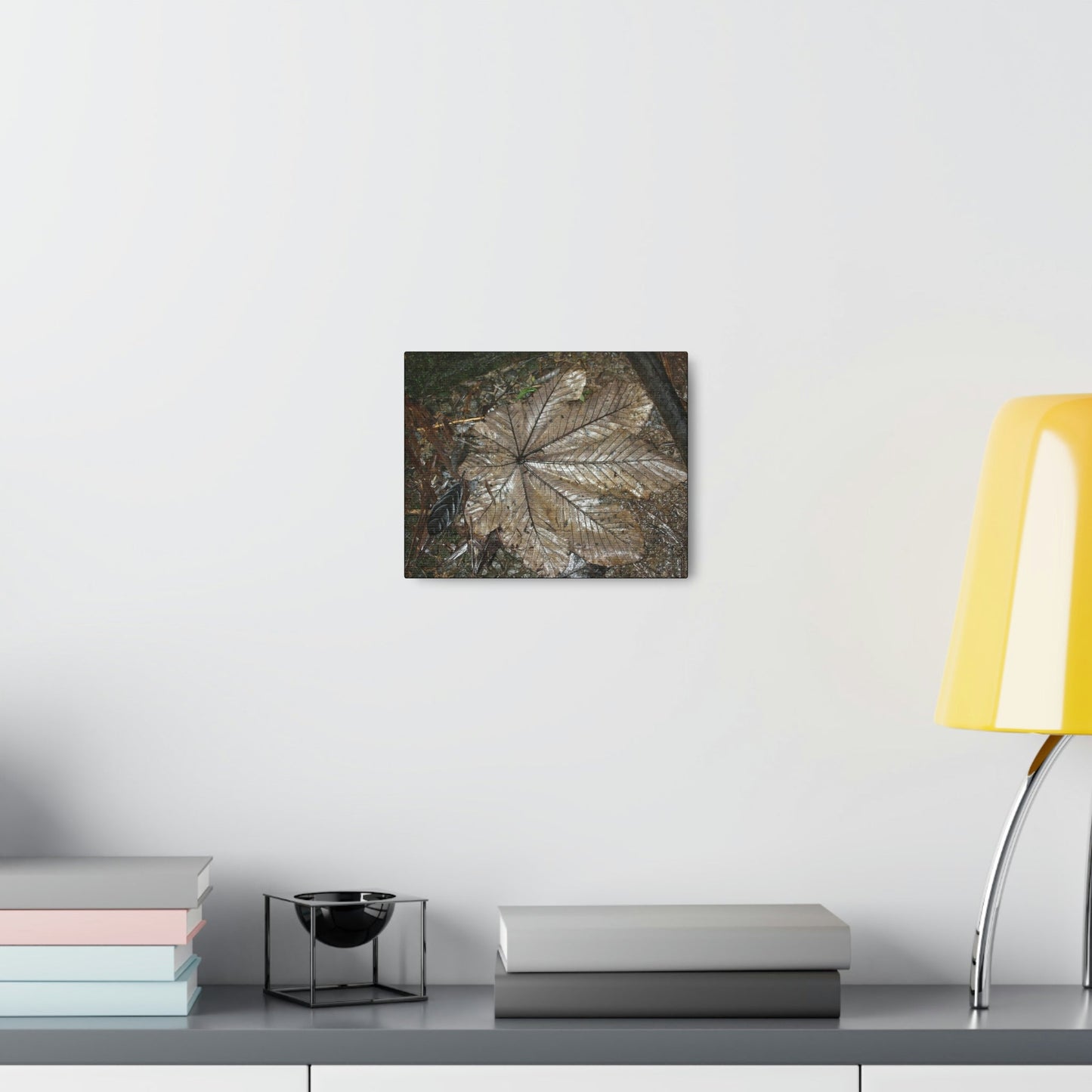 Canvas Gallery Wraps - A Yagrumo and other leaves decomposing in Tradewinds trail before Maria - 2013 - old pal region - Green Forest Home