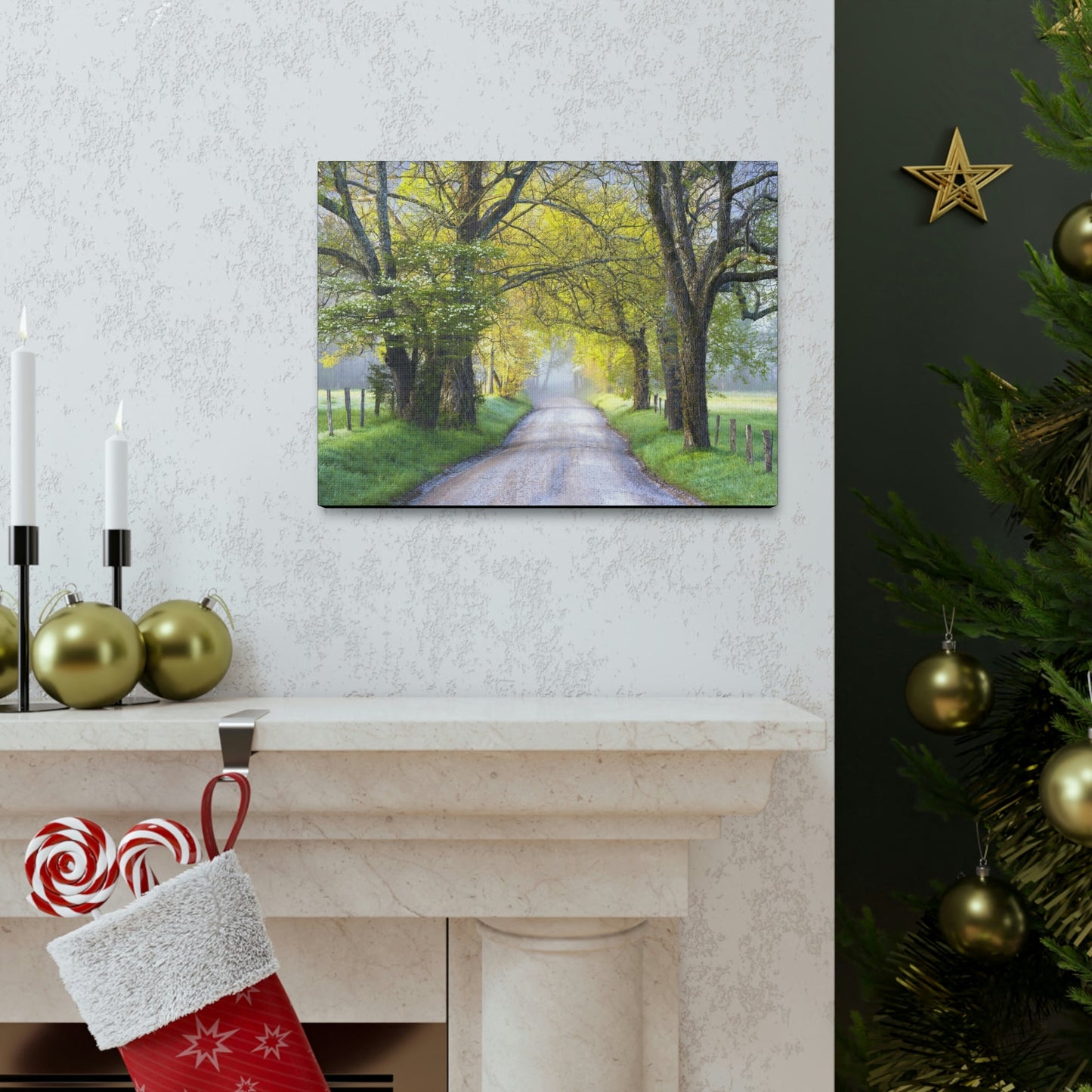 Canvas Gallery Wraps - Cades Cove in spring - the top of the world here - in Smoky Mountain National Park in Summer in Mountain National Park (SMNP) USA - Green Forest Home