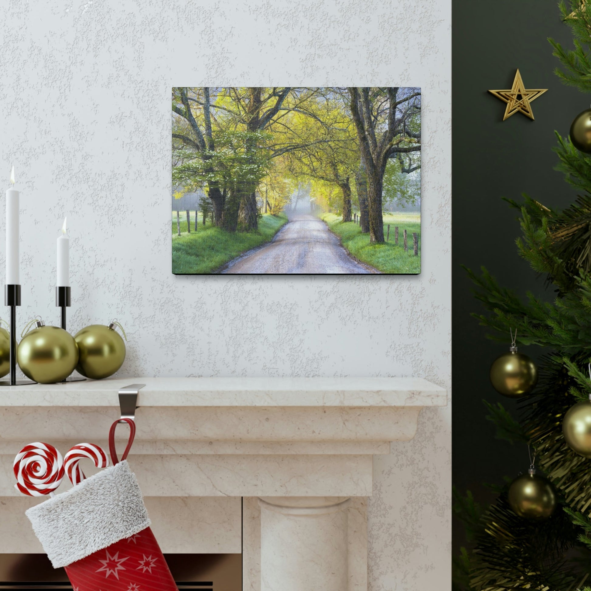 Canvas Gallery Wraps - Cades Cove in spring - the top of the world here - in Smoky Mountain National Park in Summer in Mountain National Park (SMNP) USA - Green Forest Home