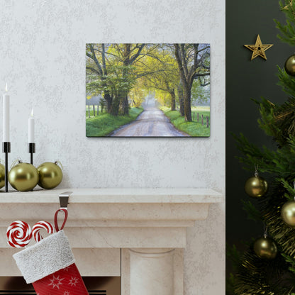 Canvas Gallery Wraps - Cades Cove in spring - the top of the world here - in Smoky Mountain National Park in Summer in Mountain National Park (SMNP) USA - Green Forest Home