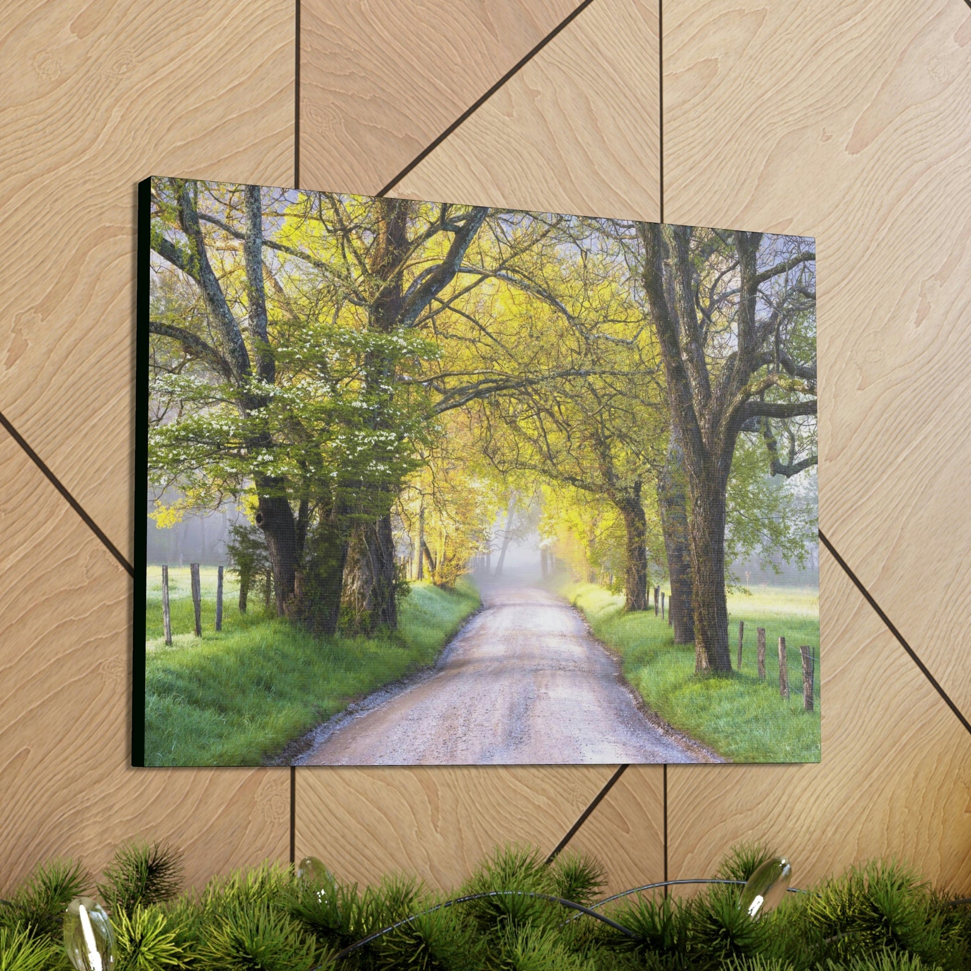 Canvas Gallery Wraps - Cades Cove in spring - the top of the world here - in Smoky Mountain National Park in Summer in Mountain National Park (SMNP) USA - Green Forest Home