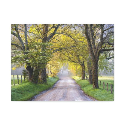 Canvas Gallery Wraps - Cades Cove in spring - the top of the world here - in Smoky Mountain National Park in Summer in Mountain National Park (SMNP) USA - Green Forest Home