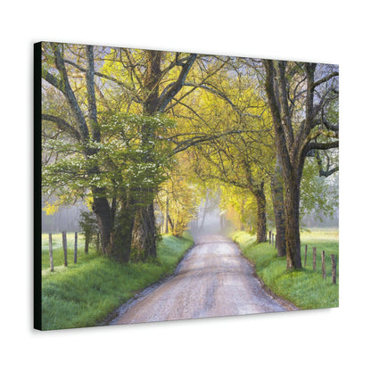 Canvas Gallery Wraps - Cades Cove in spring - the top of the world here - in Smoky Mountain National Park in Summer in Mountain National Park (SMNP) USA - Green Forest Home