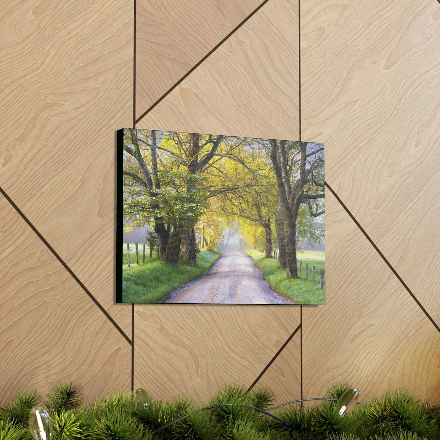Canvas Gallery Wraps - Cades Cove in spring - the top of the world here - in Smoky Mountain National Park in Summer in Mountain National Park (SMNP) USA - Green Forest Home