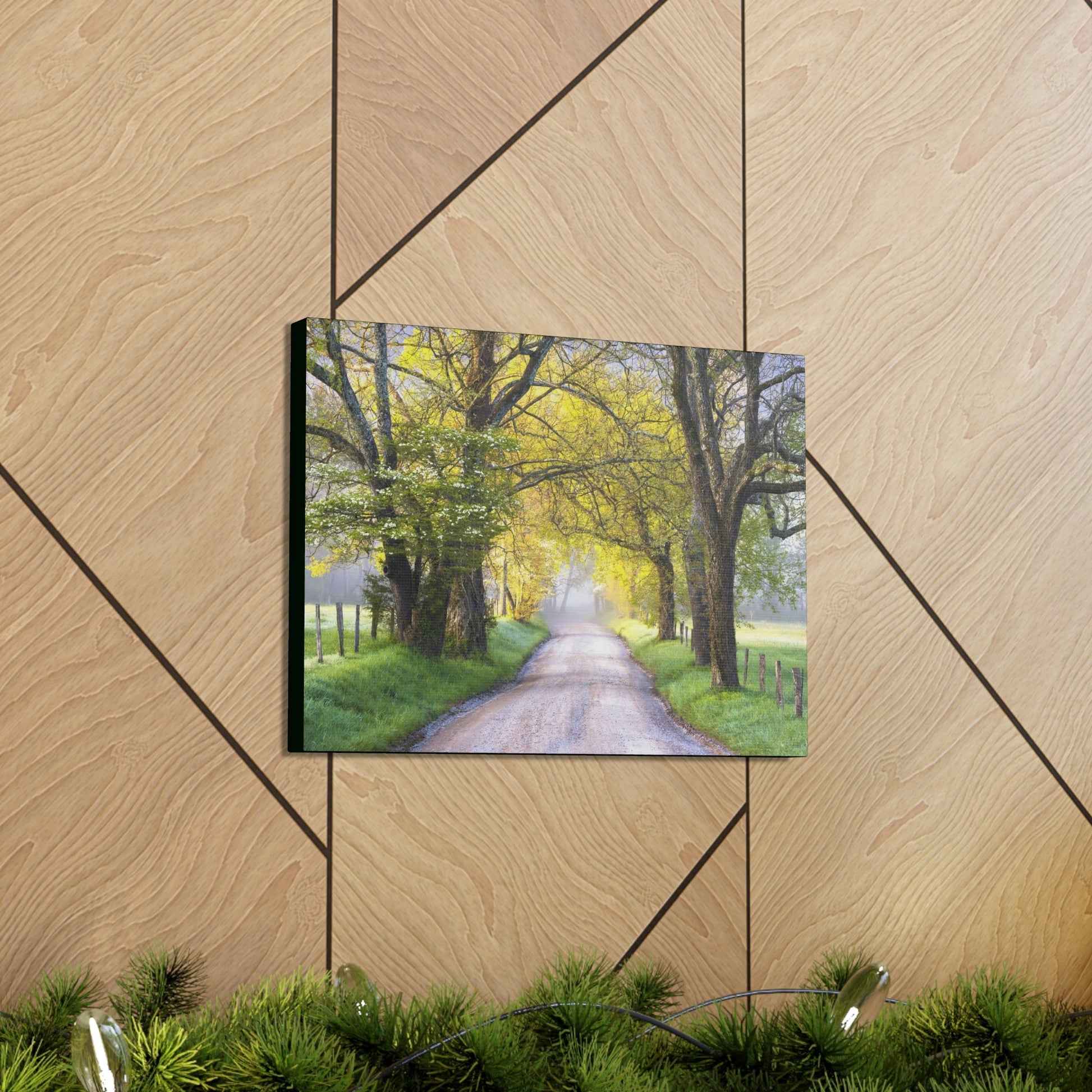 Canvas Gallery Wraps - Cades Cove in spring - the top of the world here - in Smoky Mountain National Park in Summer in Mountain National Park (SMNP) USA - Green Forest Home