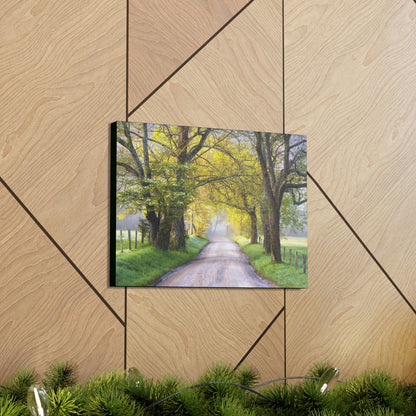 Canvas Gallery Wraps - Cades Cove in spring - the top of the world here - in Smoky Mountain National Park in Summer in Mountain National Park (SMNP) USA - Green Forest Home