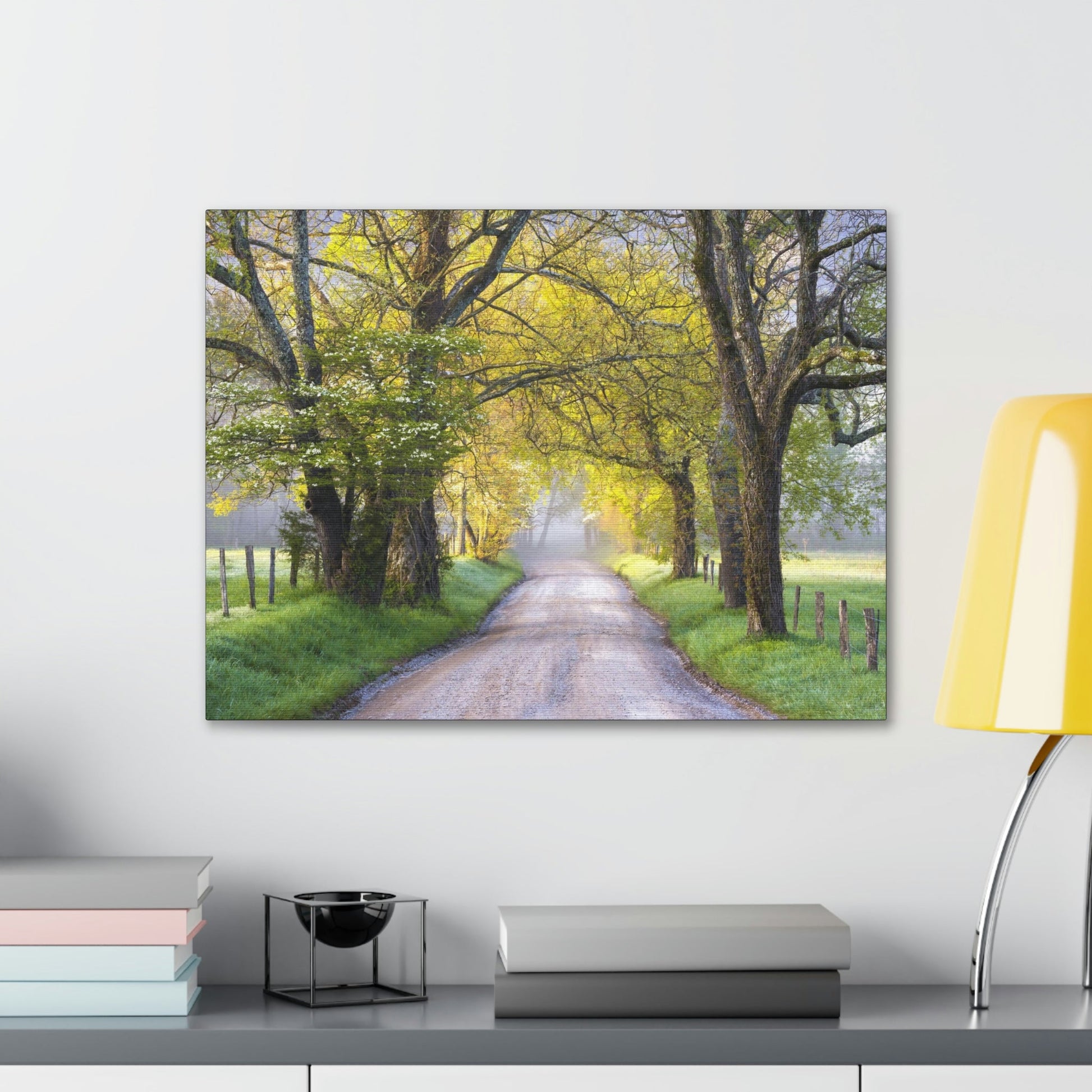 Canvas Gallery Wraps - Cades Cove in spring - the top of the world here - in Smoky Mountain National Park in Summer in Mountain National Park (SMNP) USA - Green Forest Home