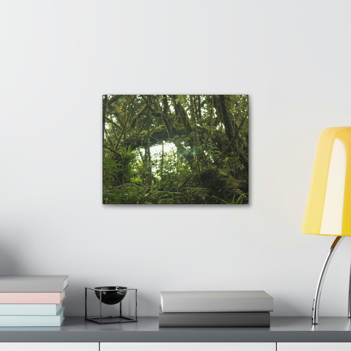 Canvas Gallery Wraps - Forest undergrowth in Tradewinds trail before Maria - when the canopy shaded the ground - 2013 - old pal region - Green Forest Home