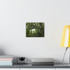 Canvas Gallery Wraps - Forest undergrowth in Tradewinds trail before Maria - when the canopy shaded the ground - 2013 - old pal region - Green Forest Home