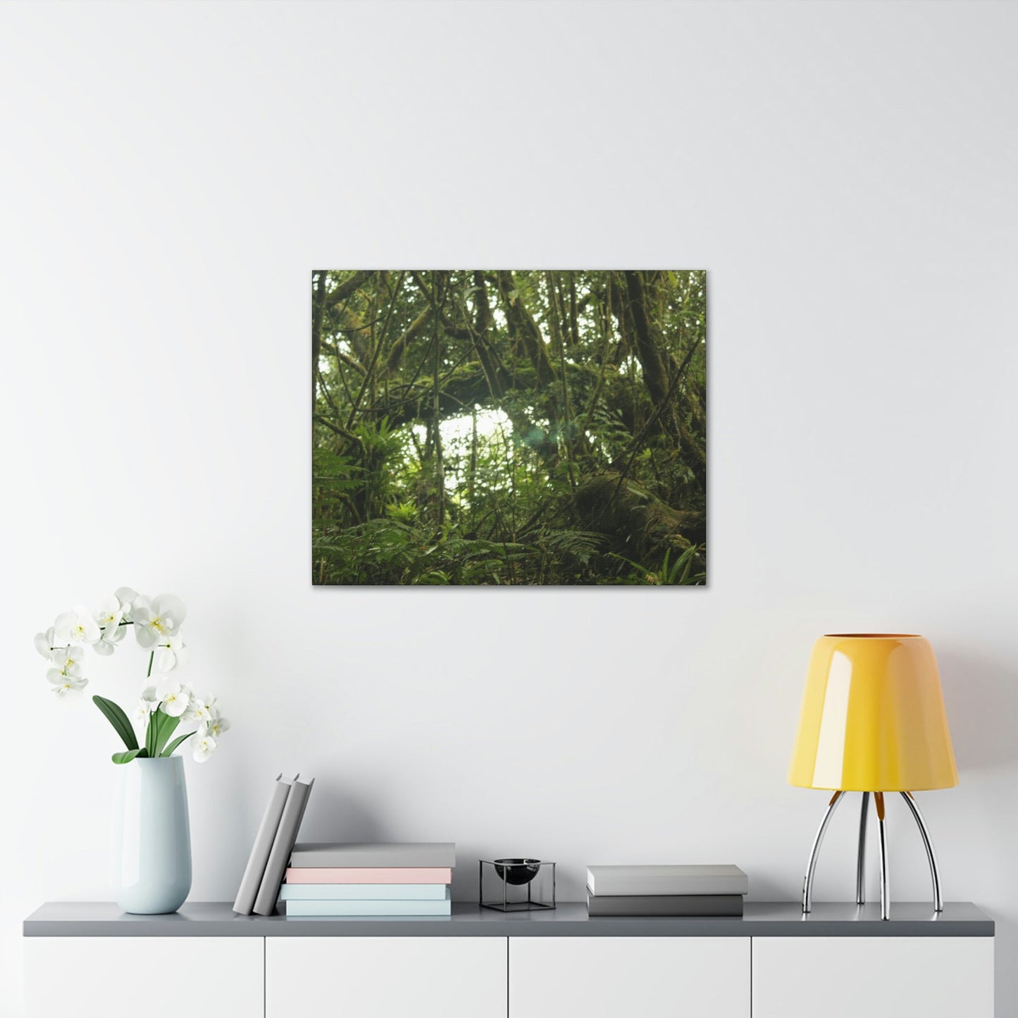 Canvas Gallery Wraps - Forest undergrowth in Tradewinds trail before Maria - when the canopy shaded the ground - 2013 - old pal region - Green Forest Home