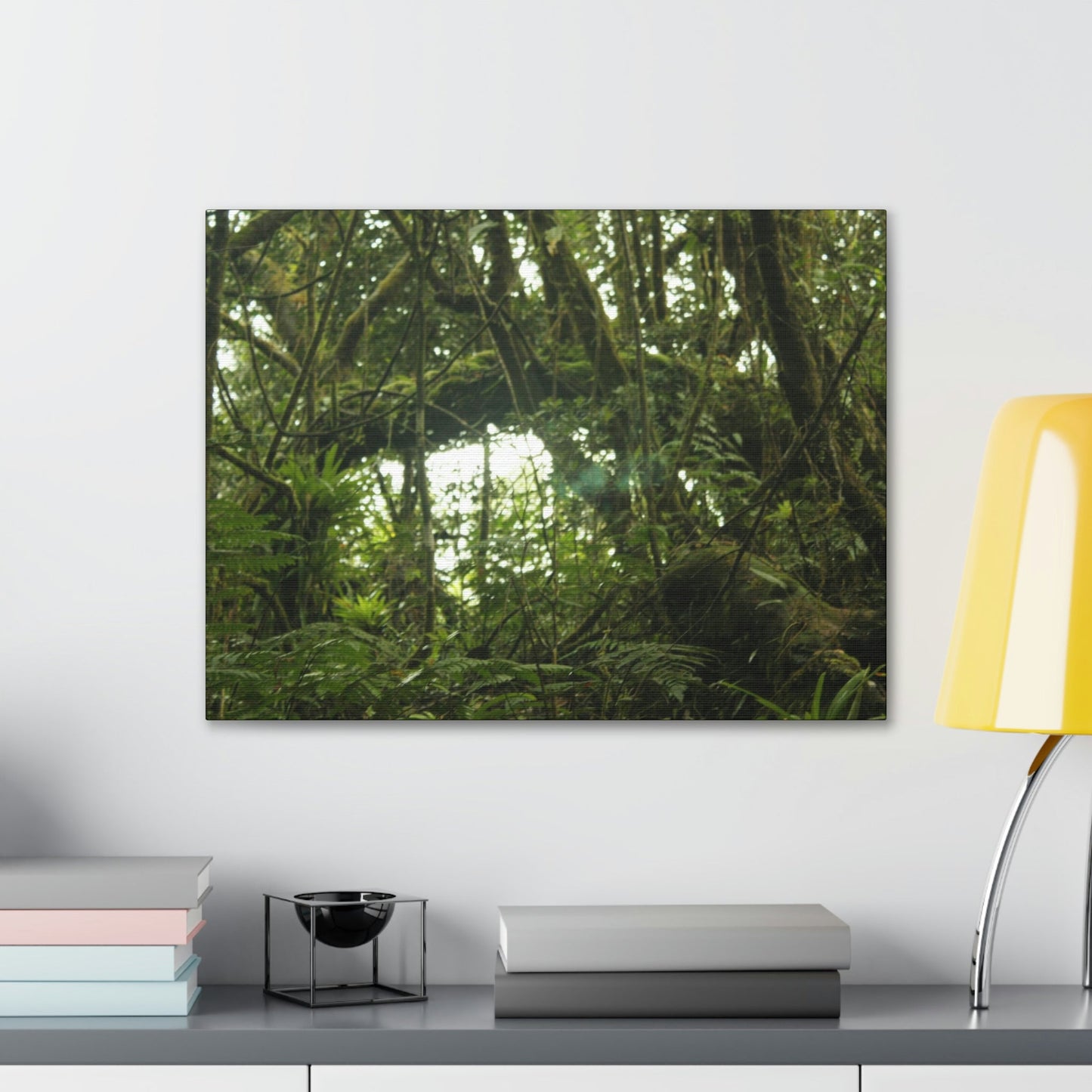 Canvas Gallery Wraps - Forest undergrowth in Tradewinds trail before Maria - when the canopy shaded the ground - 2013 - old pal region - Green Forest Home