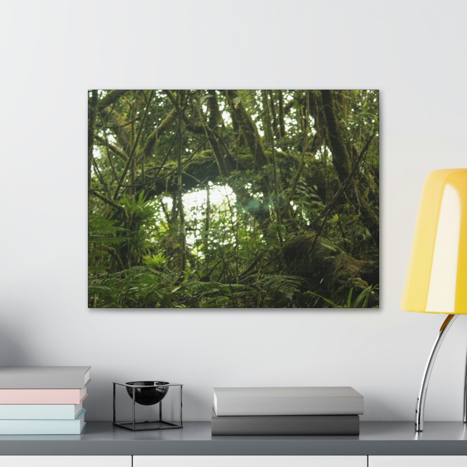 Canvas Gallery Wraps - Forest undergrowth in Tradewinds trail before Maria - when the canopy shaded the ground - 2013 - old pal region - Green Forest Home