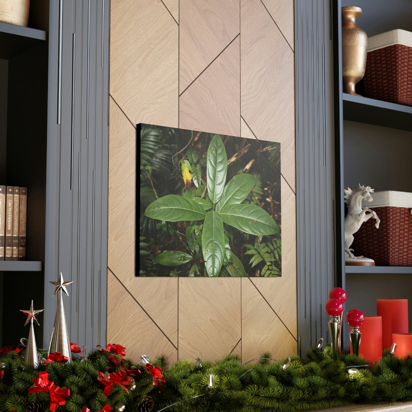 Canvas Gallery Wraps - Forest undergrowth in Tradewinds trail before Maria - when the canopy shaded the ground - 2013 - old pal region - Green Forest Home