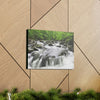 Canvas Gallery Wraps - Middle Prong Little River in Smoky Mountain National Park in Summer in Mountain National Park (SMNP) USA - Green Forest Home