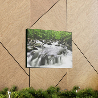 Canvas Gallery Wraps - Middle Prong Little River in Smoky Mountain National Park in Summer in Mountain National Park (SMNP) USA - Green Forest Home