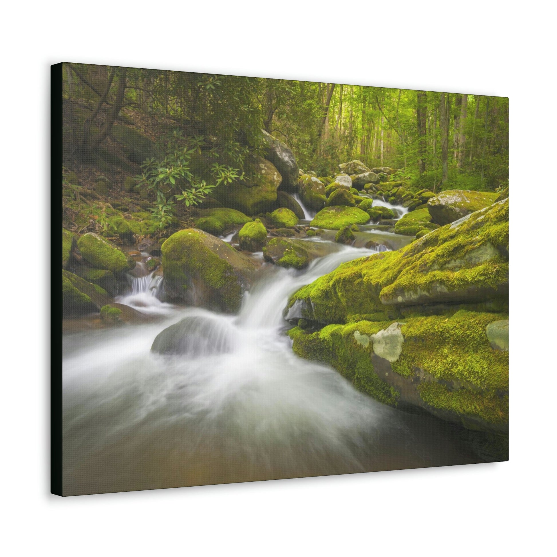 Canvas Gallery Wraps - Roaring Fork River waterfalls - the top of the world here - in Smoky Mountain National Park in Summer in Mountain National Park (SMNP) USA - Green Forest Home