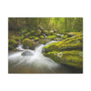 Canvas Gallery Wraps - Roaring Fork River waterfalls - the top of the world here - in Smoky Mountain National Park in Summer in Mountain National Park (SMNP) USA - Green Forest Home