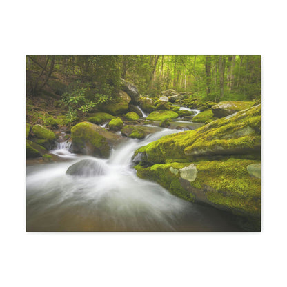 Canvas Gallery Wraps - Roaring Fork River waterfalls - the top of the world here - in Smoky Mountain National Park in Summer in Mountain National Park (SMNP) USA - Green Forest Home