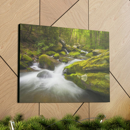 Canvas Gallery Wraps - Roaring Fork River waterfalls - the top of the world here - in Smoky Mountain National Park in Summer in Mountain National Park (SMNP) USA - Green Forest Home