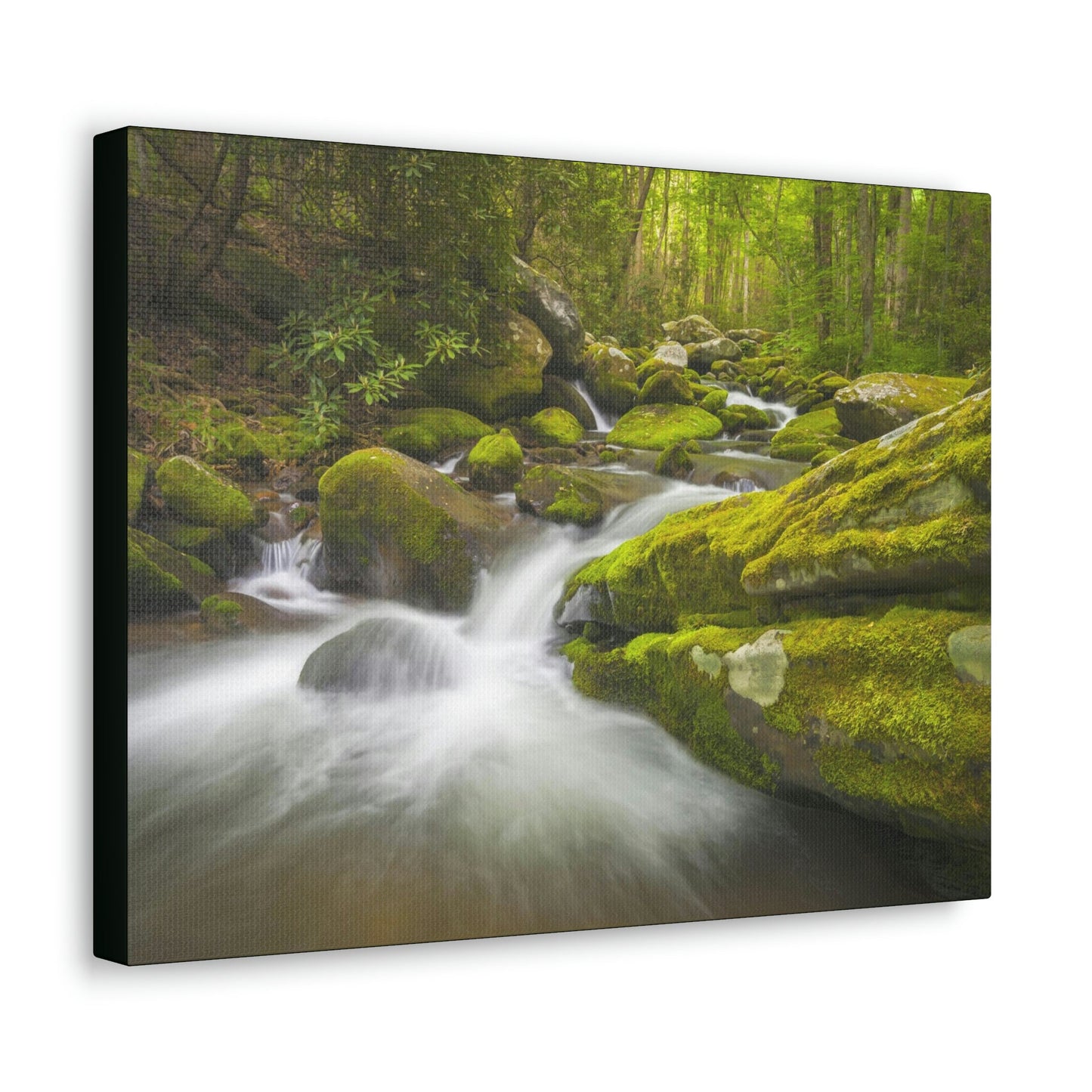 Canvas Gallery Wraps - Roaring Fork River waterfalls - the top of the world here - in Smoky Mountain National Park in Summer in Mountain National Park (SMNP) USA - Green Forest Home